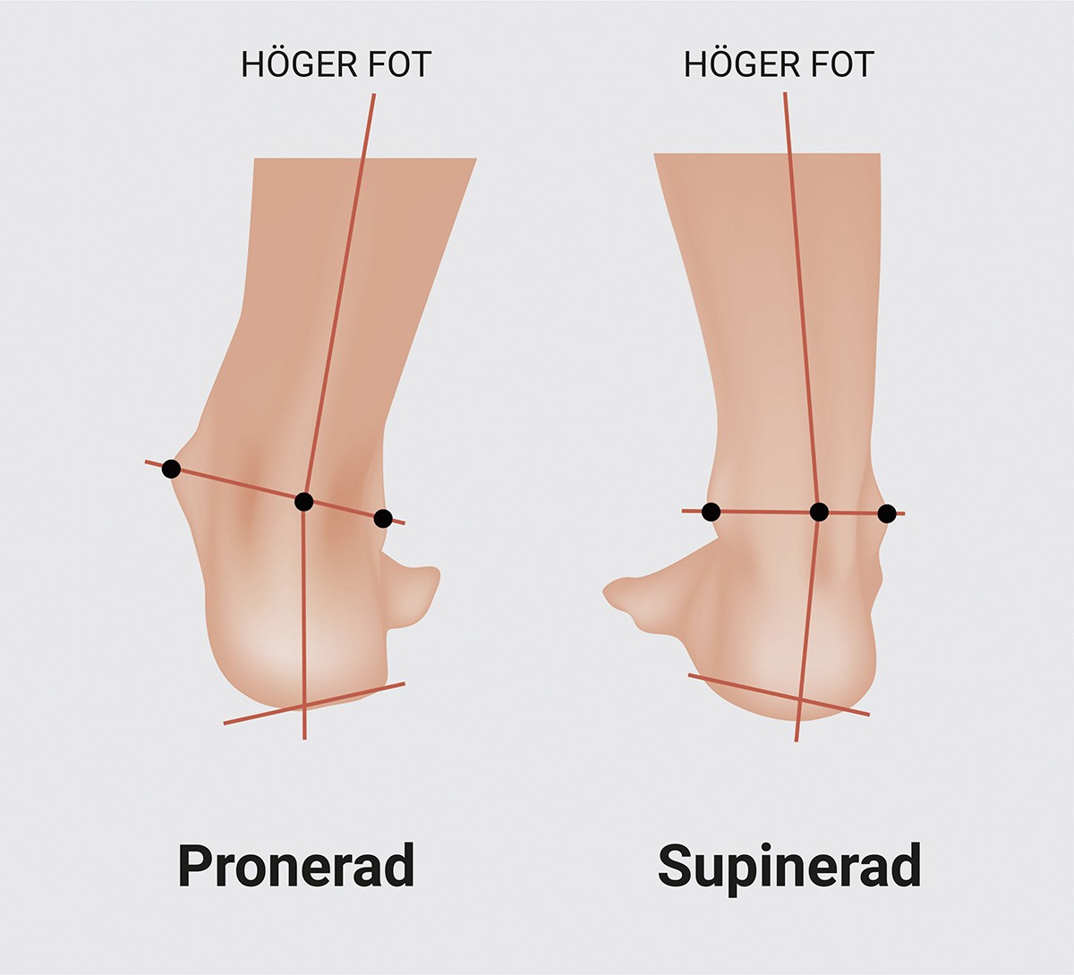 Ankle pronation hot sale and supination